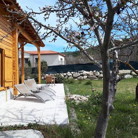Chalet Mont Canigo Villa Corneilla-de-Conflent Екстериор снимка
