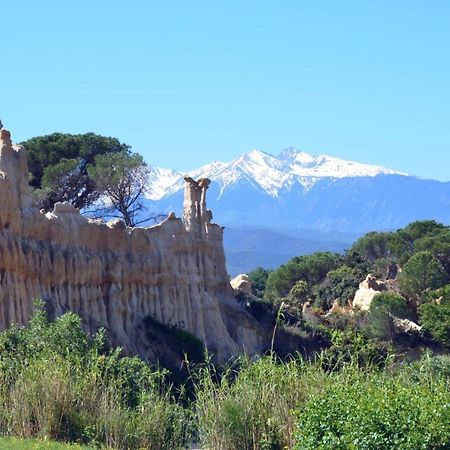 Chalet Mont Canigo Villa Corneilla-de-Conflent Екстериор снимка