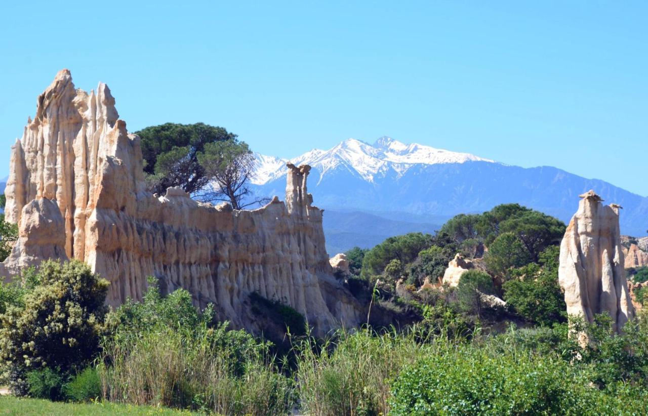 Chalet Mont Canigo Villa Corneilla-de-Conflent Екстериор снимка
