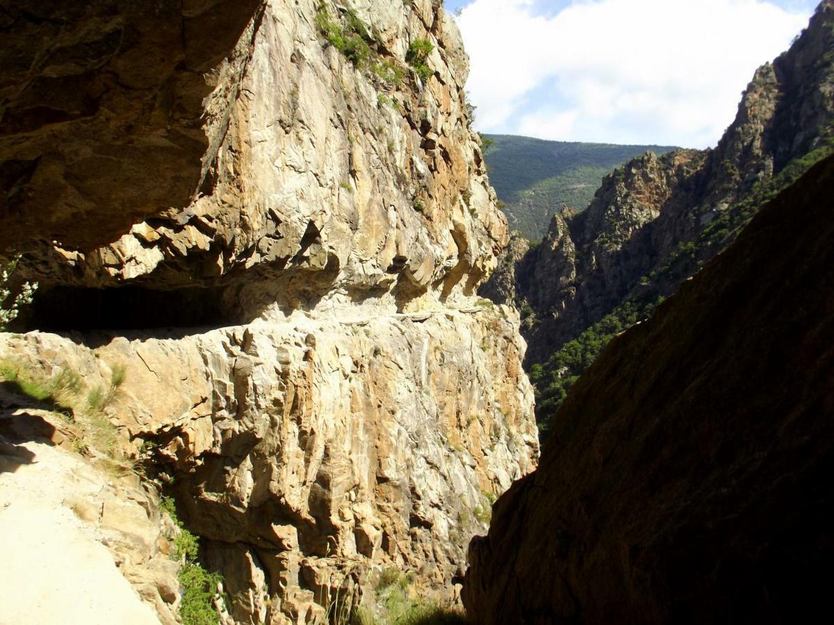 Chalet Mont Canigo Villa Corneilla-de-Conflent Екстериор снимка