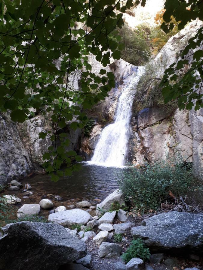 Chalet Mont Canigo Villa Corneilla-de-Conflent Екстериор снимка
