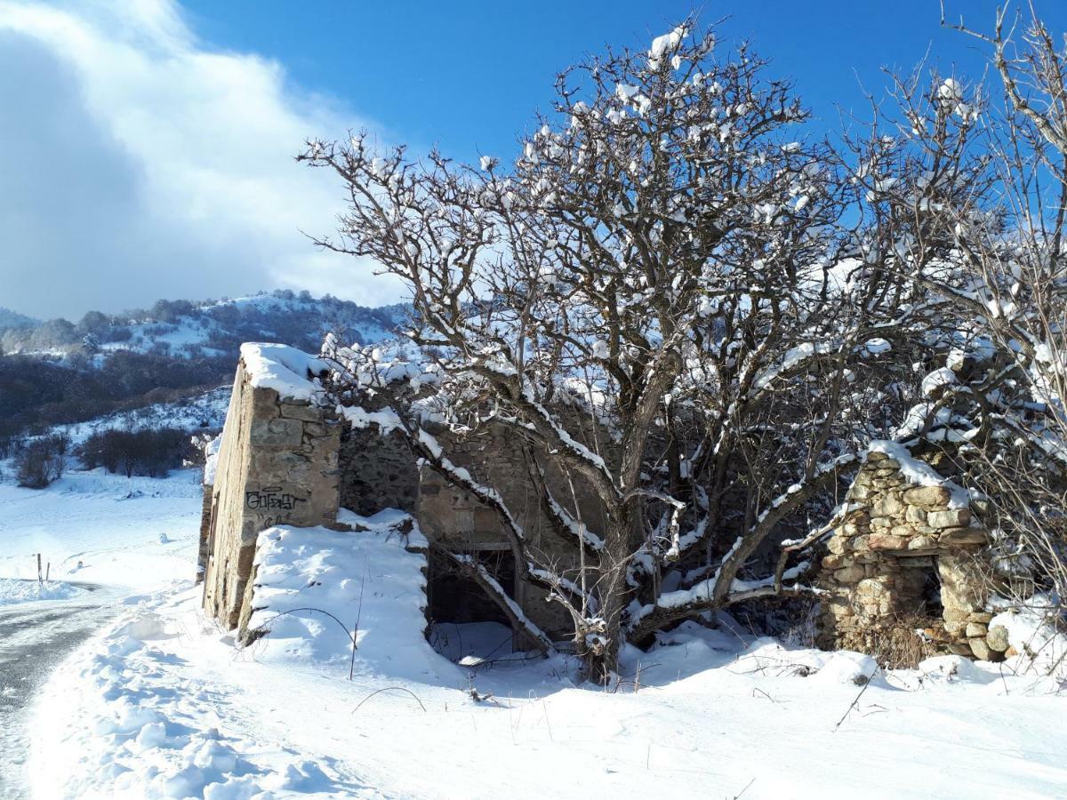 Chalet Mont Canigo Villa Corneilla-de-Conflent Екстериор снимка